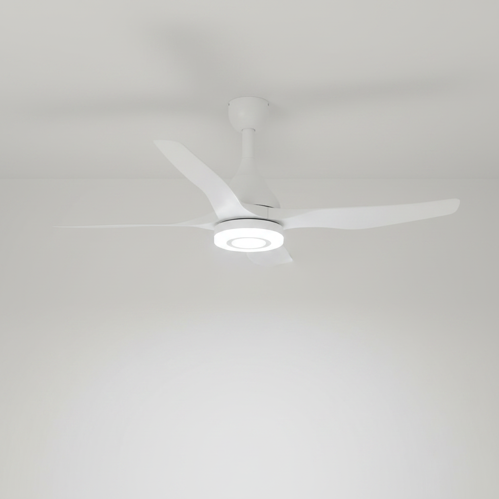 ZARA FAN 530044