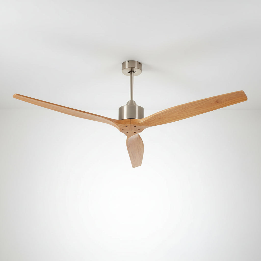 ZARA FAN 60A33